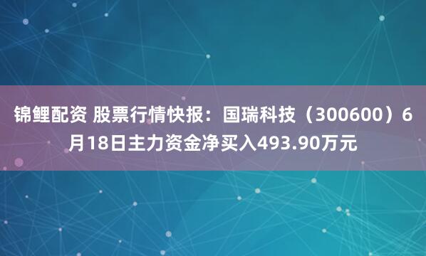 锦鲤配资 股票行情快报：国瑞科技（300600）6月18日主力资金净买入493.90万元