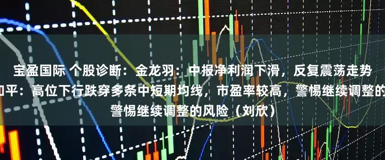 宝盈国际 个股诊断：金龙羽：中报净利润下滑，反复震荡走势为主。东信和平：高位下行跌穿多条中短期均线，市盈率较高，警惕继续调整的风险（刘欣）