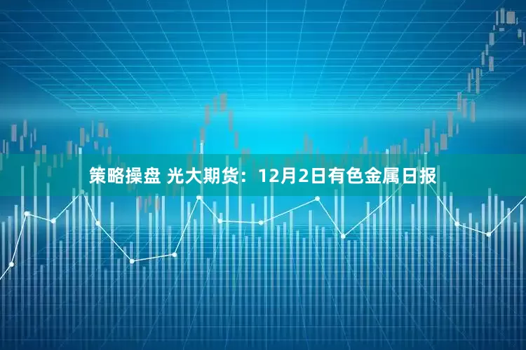 策略操盘 光大期货：12月2日有色金属日报